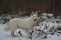 Wandertag 2017 - 023